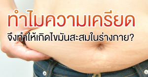 Read more about the article ทำไมความเครียด จึงทำให้เกิดไขมันสะสมในร่างกาย?